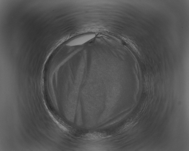 X0000082930630200702222220