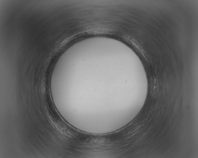 X0000082930631200702222220