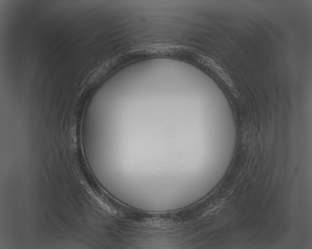 X0000082930633200702222220