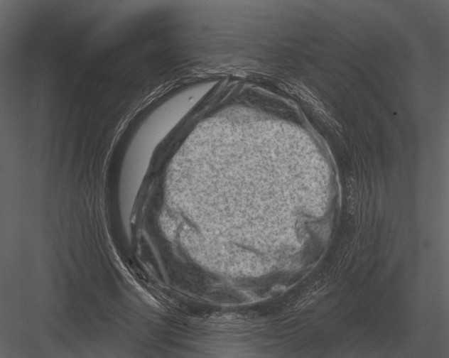 X0000082930634200702222220