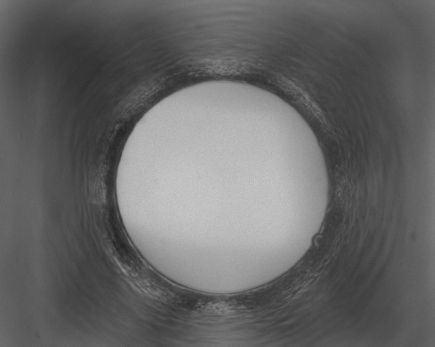 X0000082930635200702222220