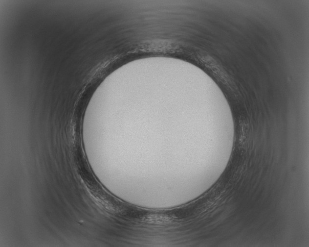 X0000082930636200702222220