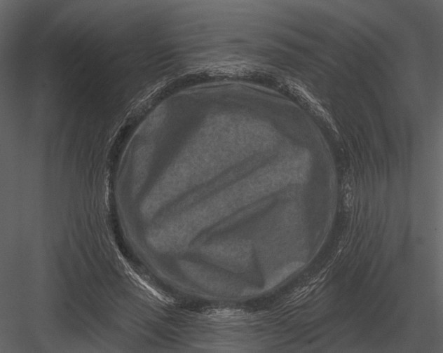 X0000082930637200702222220