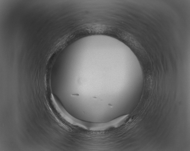 X0000082930638200702222220