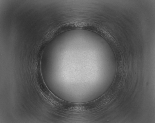 X0000082930639200702222220