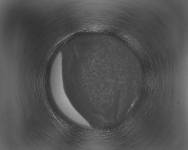 X0000082930640200702222220