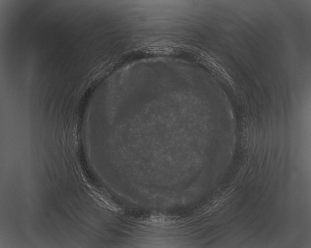 X0000082930641200702222220