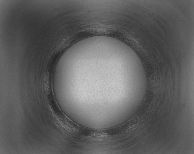 X0000082930642200702222220