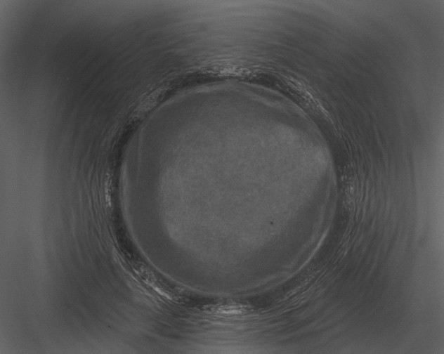 X0000082930643200702222220