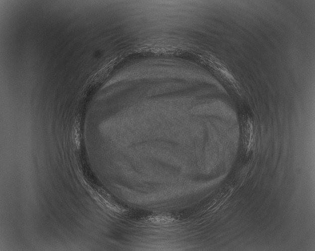 X0000082930644200702222220