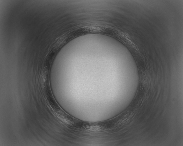 X0000082930645200702222220