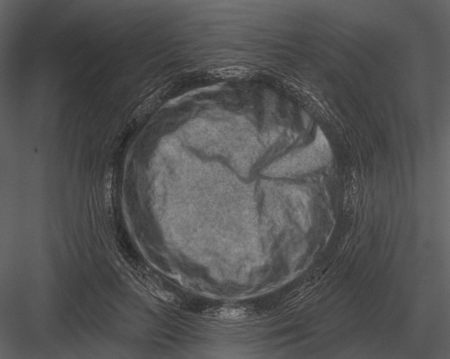 X0000082930647200702222221