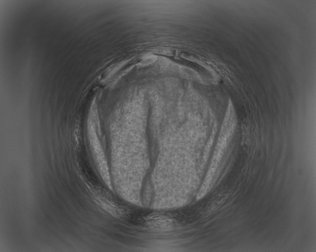 X0000082930648200702222221