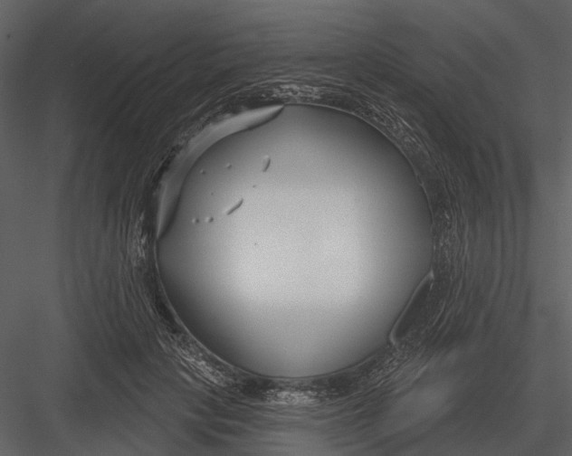 X0000082930649200702222221