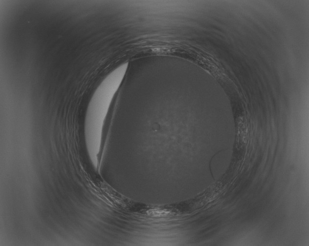 X0000082930650200702222221