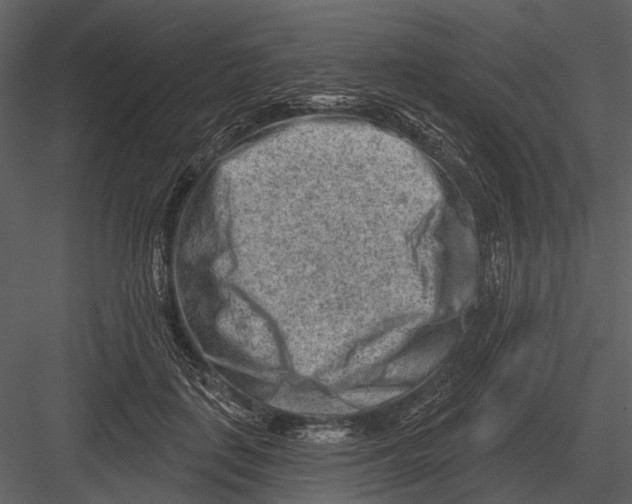 X0000082930651200702222221