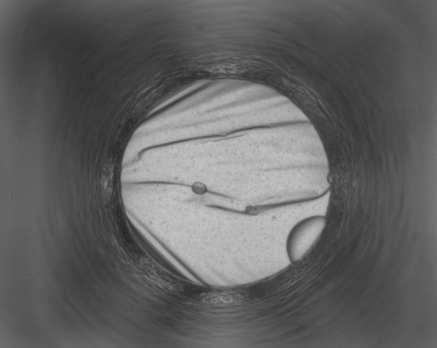 X0000082930652200702222221