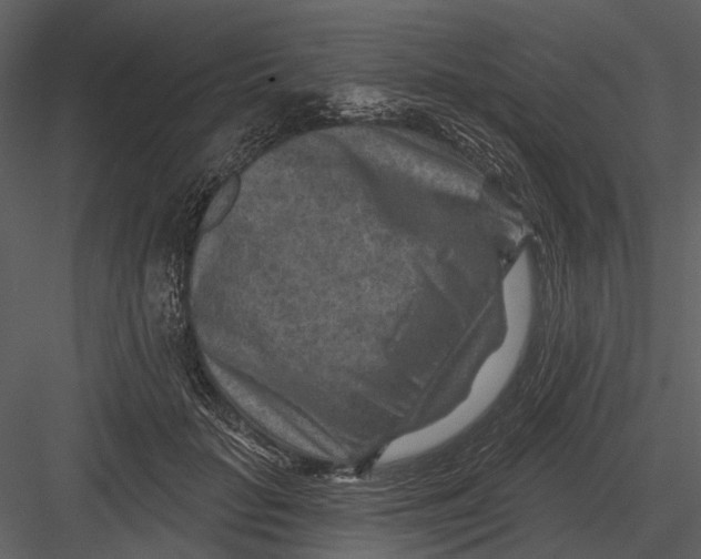 X0000082930653200702222221