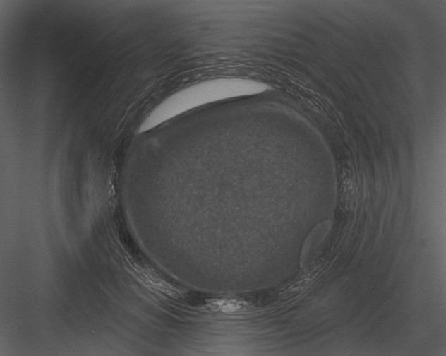 X0000082930654200702222221