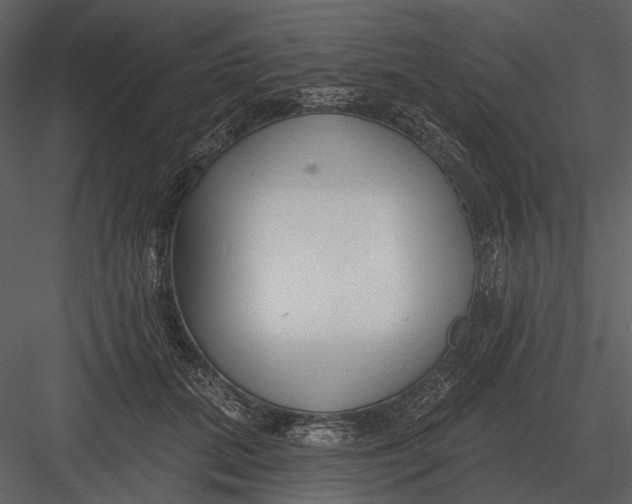 X0000082930655200702222221