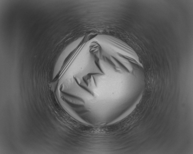 X0000082930656200702222221