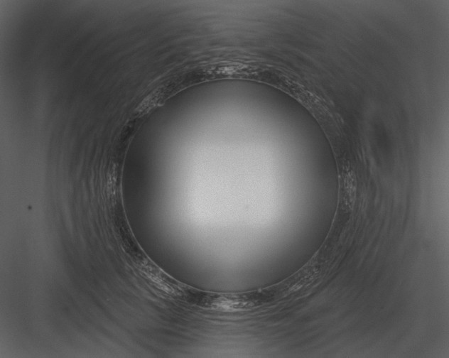 X0000082930657200702222221