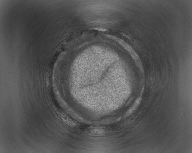 X0000082930658200702222221