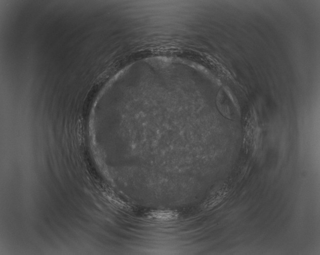 X0000082930659200702222221