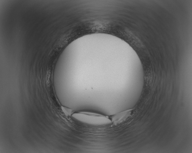 X0000082930660200702222221