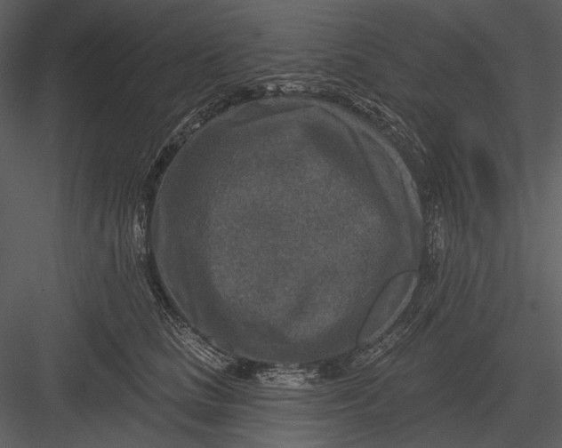 X0000082930661200702222221