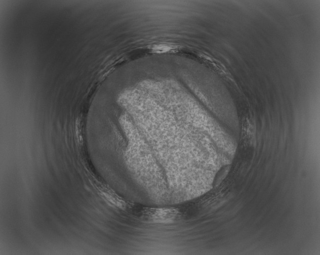 X0000082930663200702222221