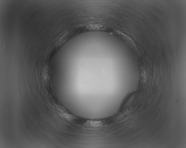 X0000082930665200702222221