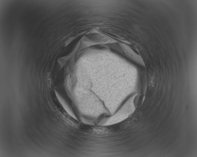 X0000082930666200702222221