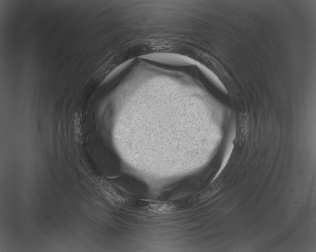 X0000082930667200702222221