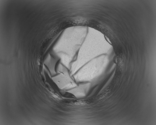 X0000082930668200702222221