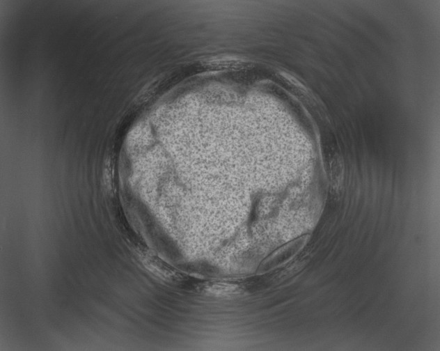 X0000082930669200702222221