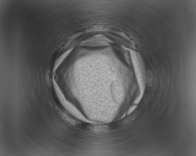 X0000082930670200702222221