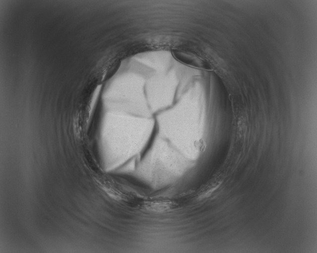 X0000082930671200702222221