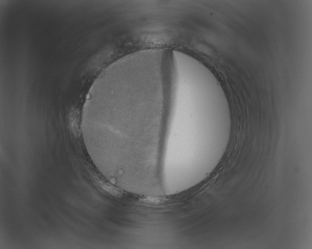 X0000082930672200702222221