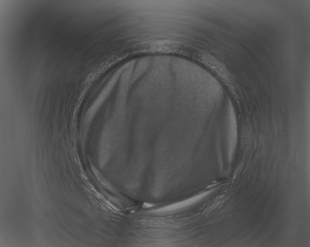 X0000082930673200702222220