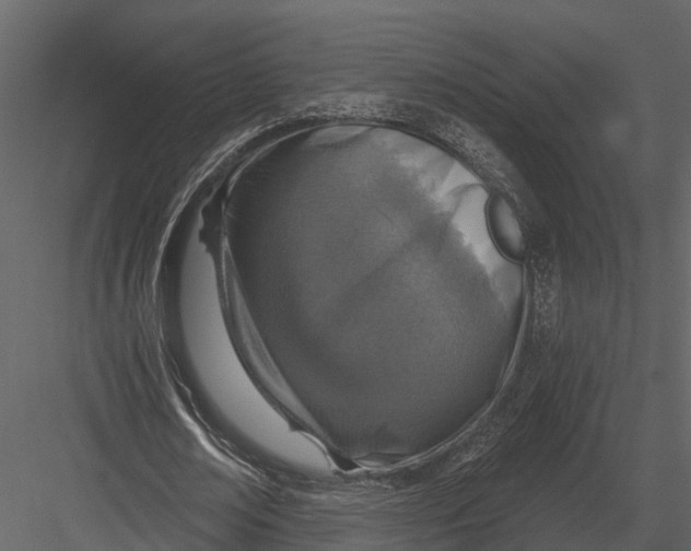 X0000082930674200702222220