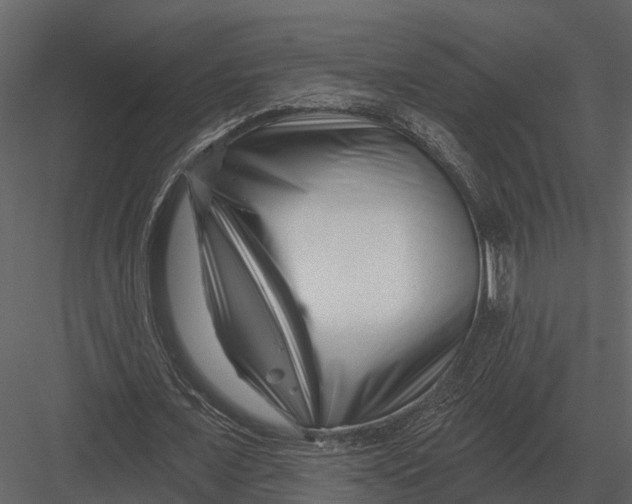 X0000082930675200702222220