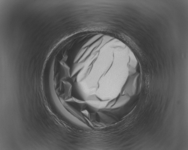 X0000082930676200702222220