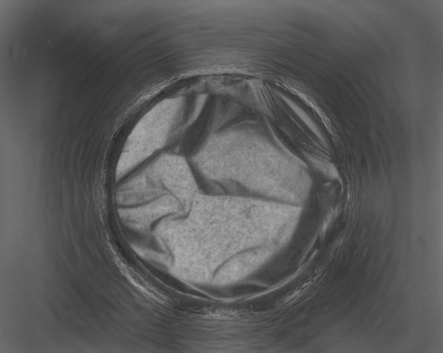 X0000082930677200702222220