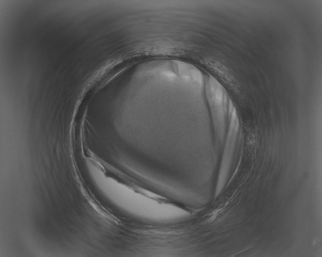 X0000082930678200702222220