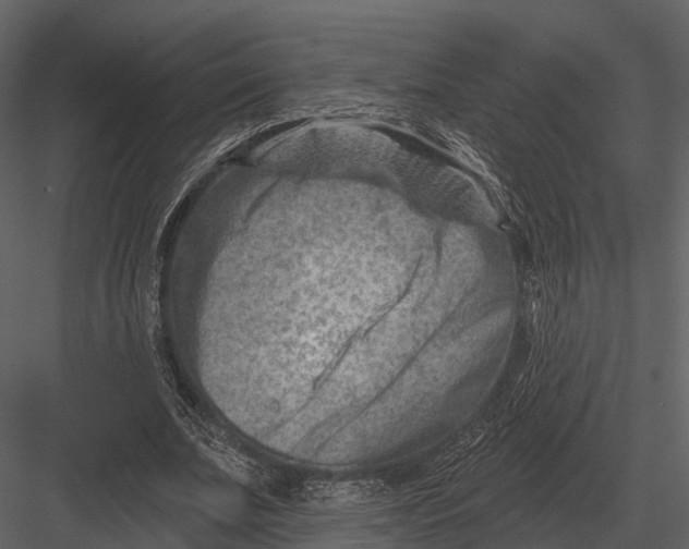 X0000082930679200702222220