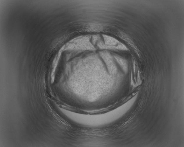 X0000082930681200702222220