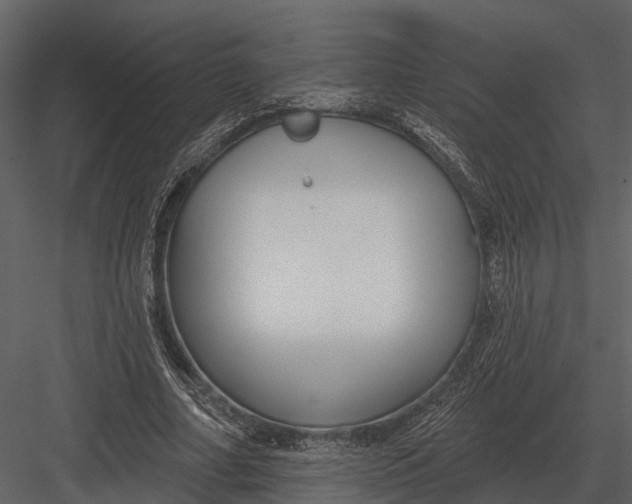 X0000082930682200702222220