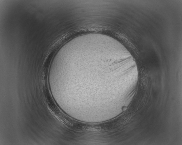 X0000082930683200702222220