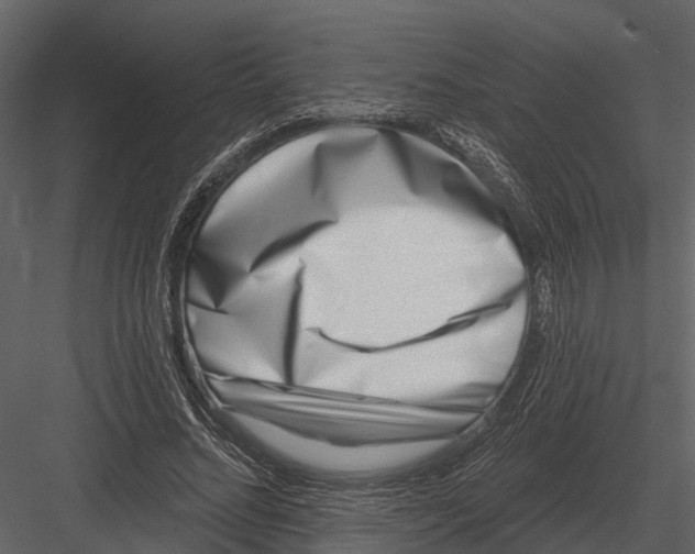 X0000082930684200702222220